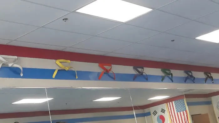 Champion Taekwondo Archibald Picture 8