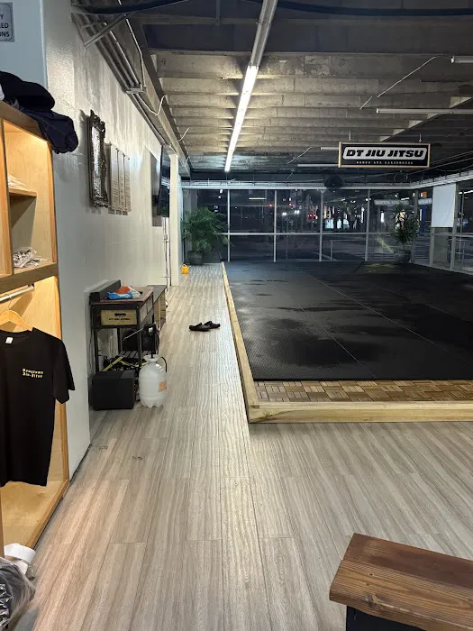 DT Jiu Jitsu Picture 1