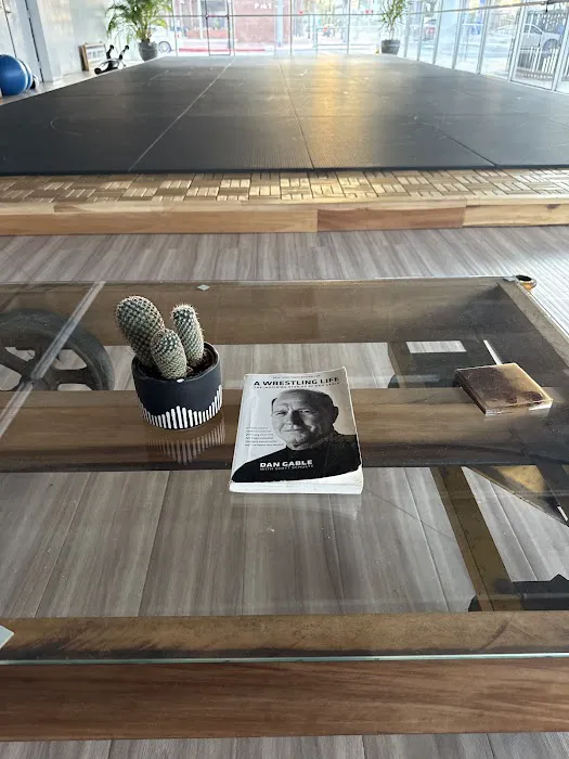 DT Jiu Jitsu Picture 6