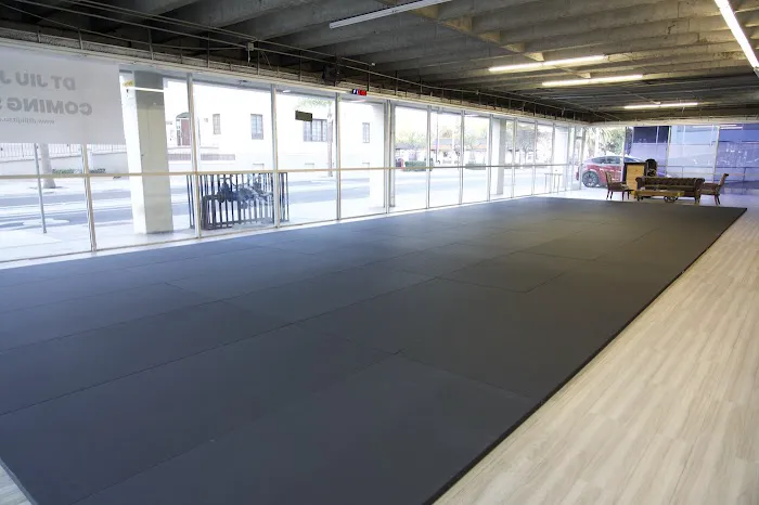 DT Jiu Jitsu Picture 5