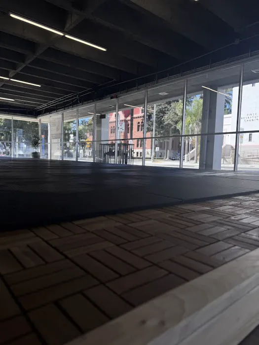 DT Jiu Jitsu Picture 9