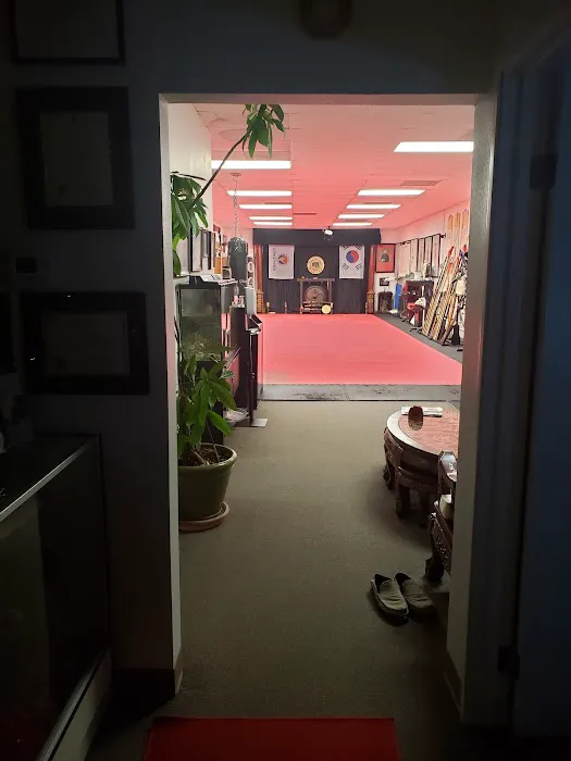 Ancient Arts: Kuk Sool Kwan Hapkido HQ Picture 6