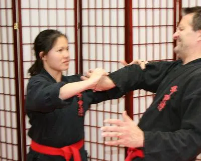 Ancient Arts: Kuk Sool Kwan Hapkido HQ Picture 10