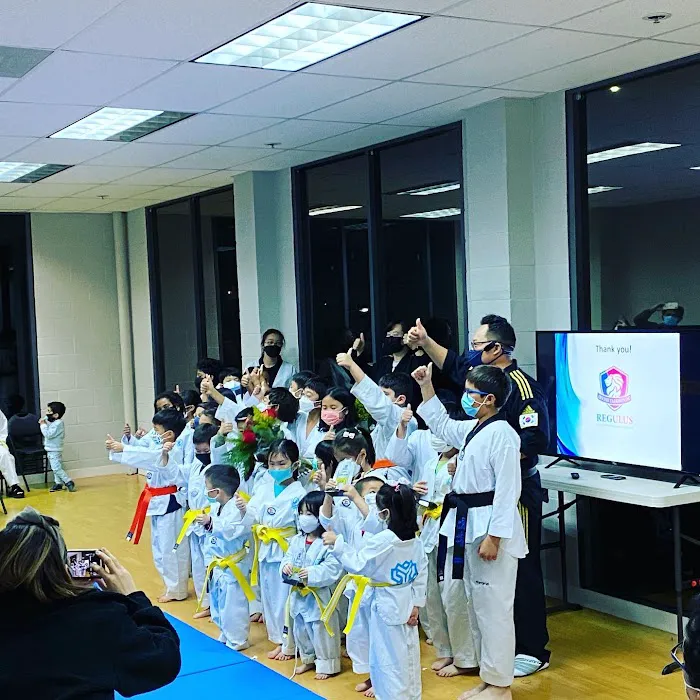Regulus Irvine Taekwondo Academy Picture 1