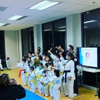 Regulus Irvine Taekwondo Academy ico