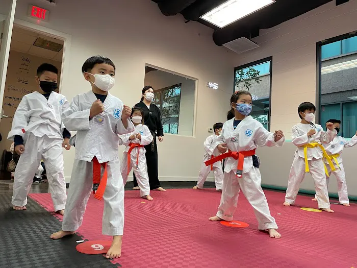 Regulus Irvine Taekwondo Academy Picture 4