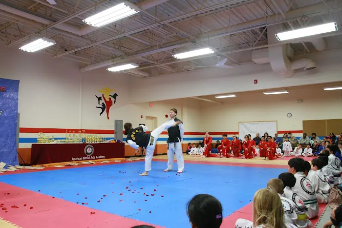 Regulus Irvine Taekwondo Academy Picture 3