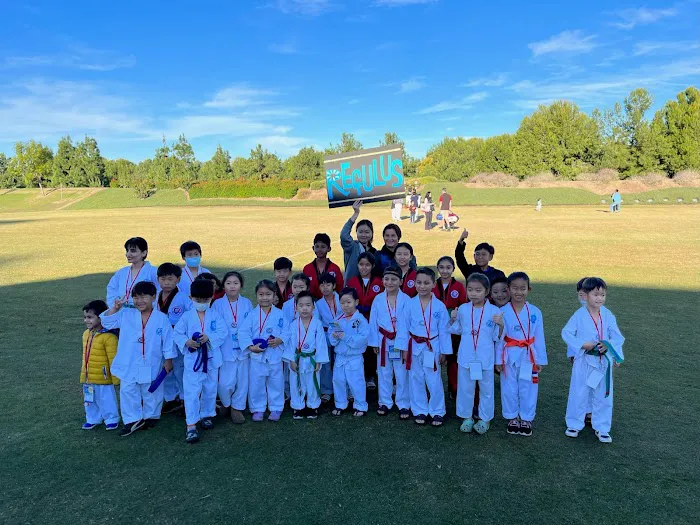 Regulus Irvine Taekwondo Academy Picture 10