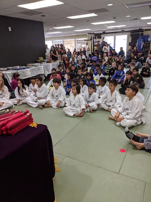 Dynamic Martial Arts Taekwondo & Hapkido Picture 3