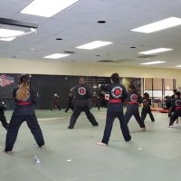 Dynamic Martial Arts Taekwondo & Hapkido ico