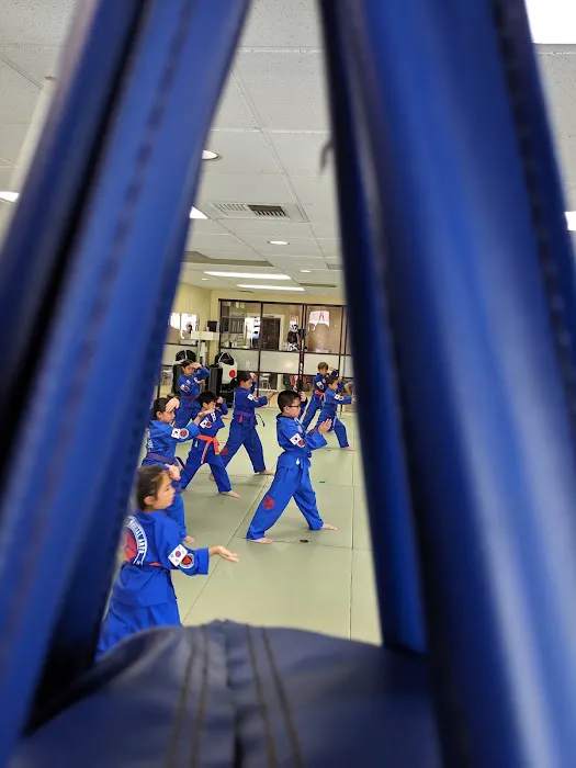 Dynamic Martial Arts Taekwondo & Hapkido Picture 2