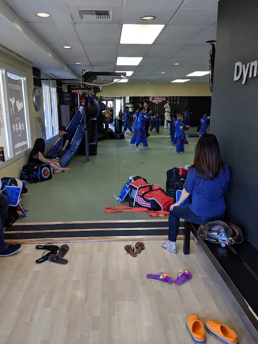 Dynamic Martial Arts Taekwondo & Hapkido Picture 4