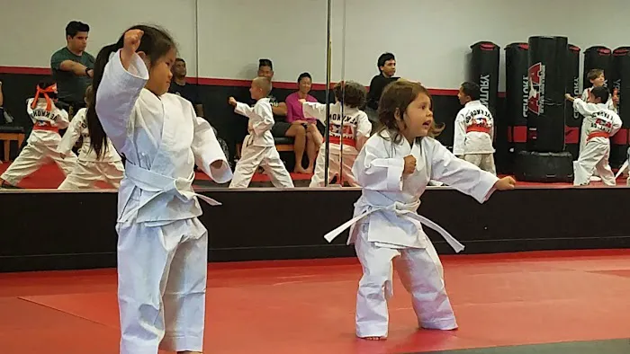 OC Family Martial Arts Picture 1