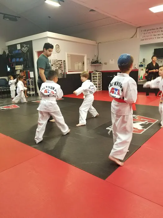 OC Family Martial Arts Picture 3