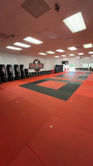 OC Family Martial Arts Picture 7