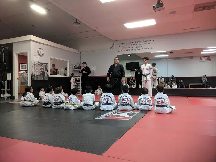 OC Family Martial Arts Picture 8