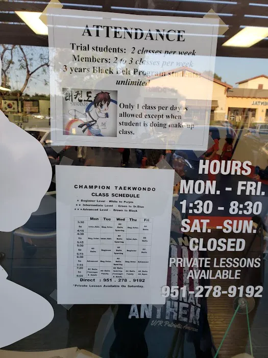 Champion Tae Kwon Do Eastvale Picture 6
