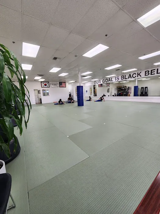 Black Belt Academy Picture 2