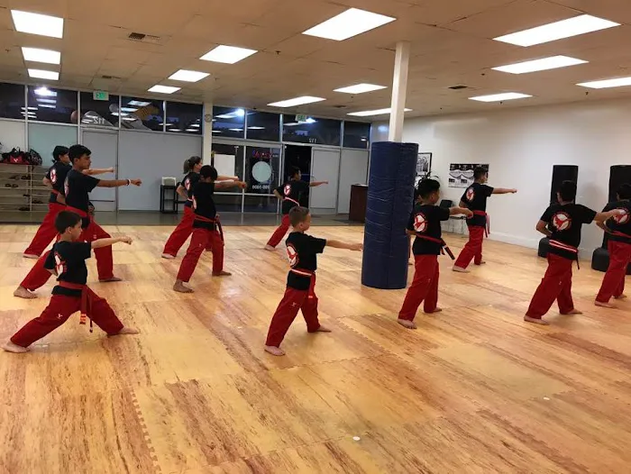 Black Belt Academy Picture 6