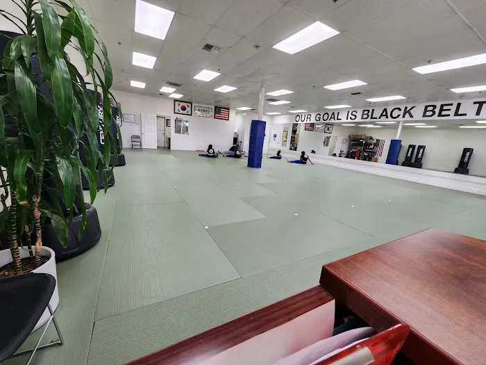 Black Belt Academy Picture 5