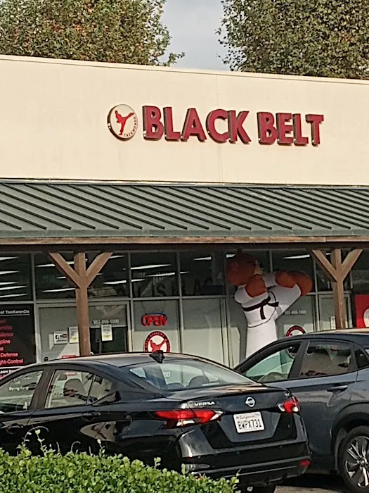 Black Belt Academy Picture 8