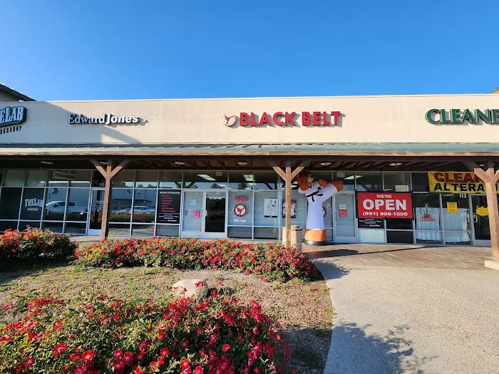 Black Belt Academy Picture 9