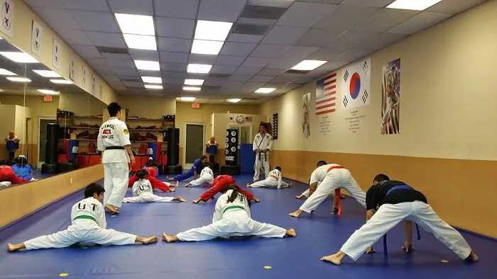 UNT Taekwondo Picture 3