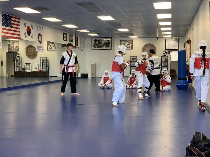 Academy of Hapkido Taekwondo Corona Picture 4
