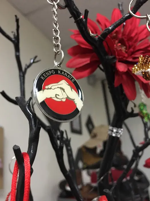 Karate Five Star Alliance Studios Picture 3