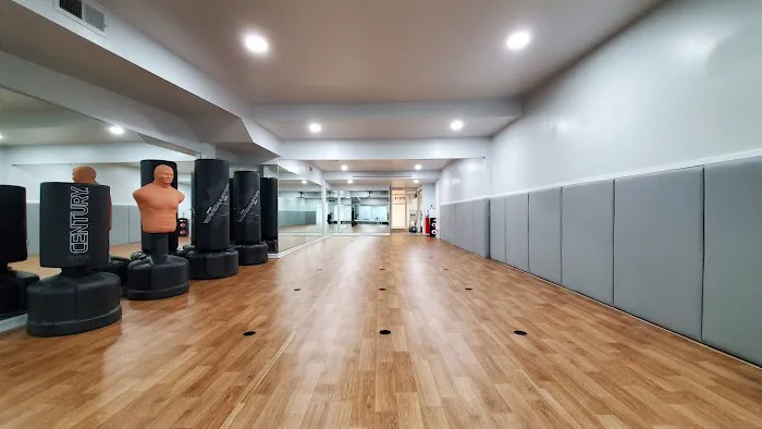 Elevate Martial Arts Picture 2