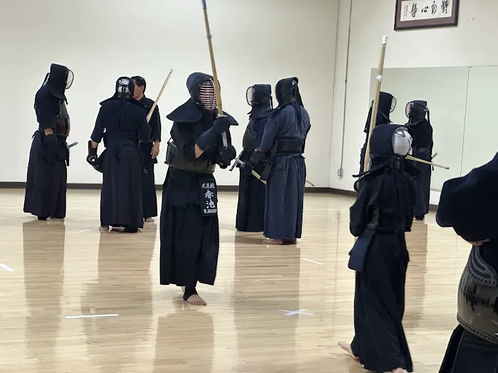 Butokuden Martial Arts Training Center of Irvine Picture 1