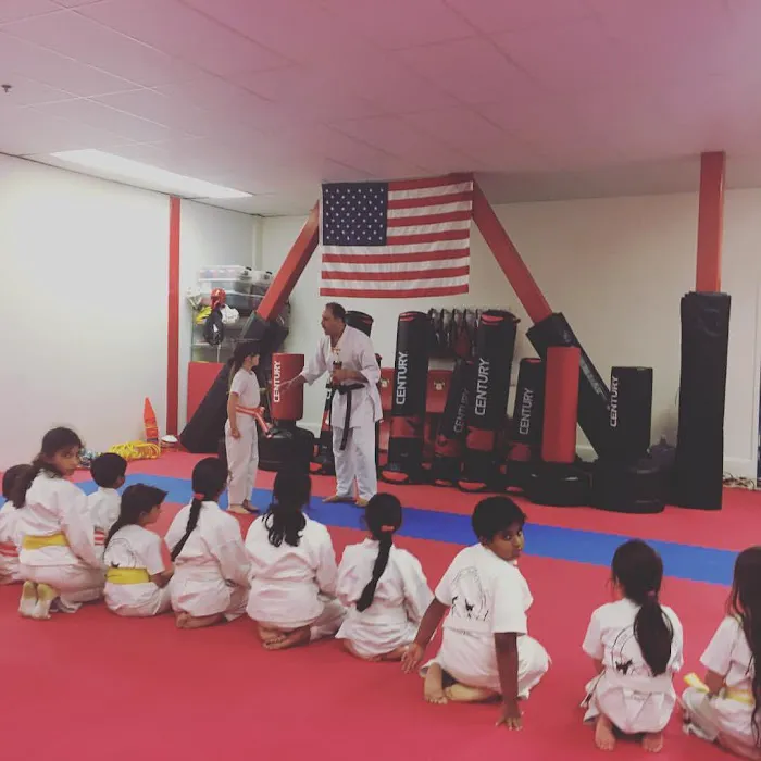 Tajik Karate Academy - Adults, Kids Martial Arts Picture 6