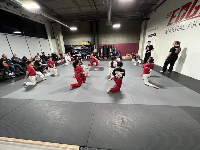 The Edge Martial Arts Picture 3