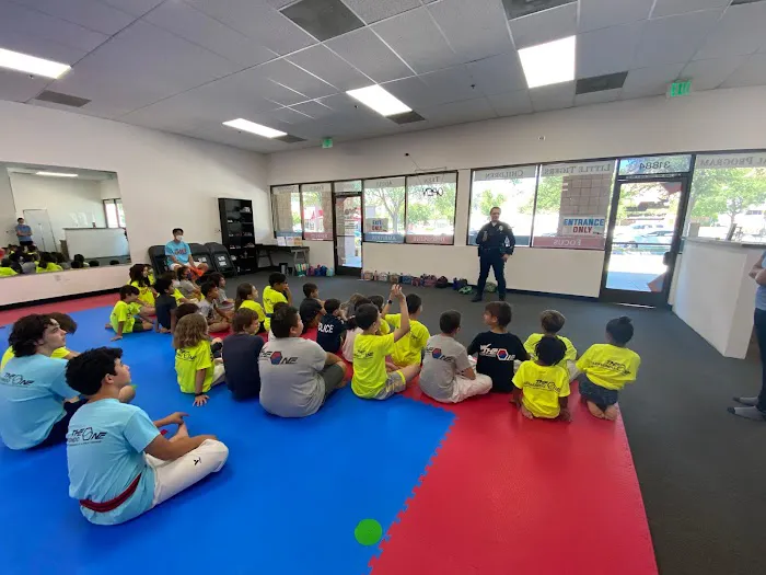 The ONE TaeKwonDo (Martial Arts & Afterschool Program) Picture 6