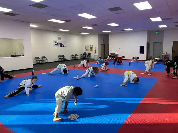 The ONE TaeKwonDo (Martial Arts & Afterschool Program) Picture 10