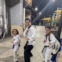 World Class Tae Kwon Do ico