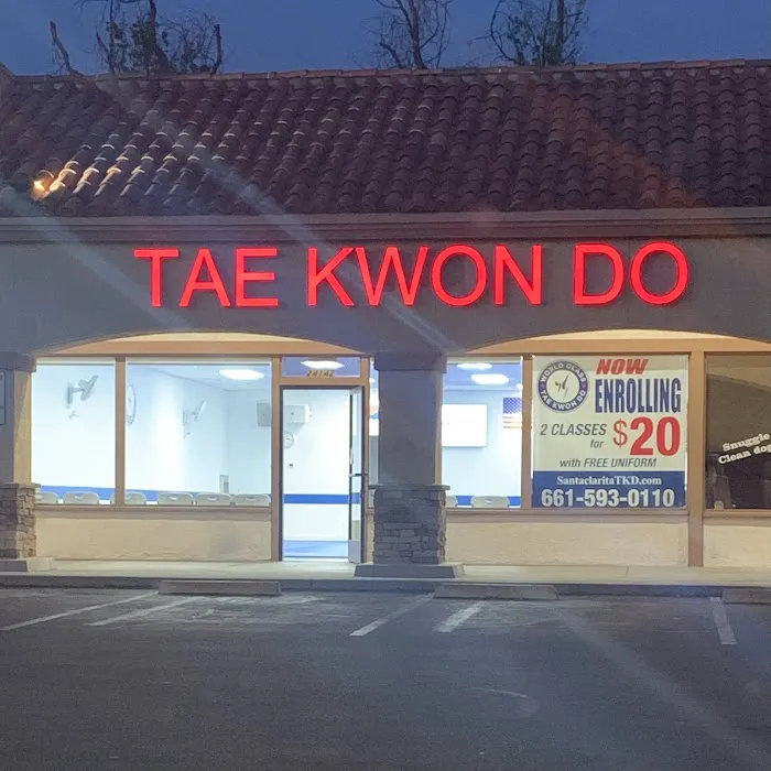 World Class Tae Kwon Do Picture 4