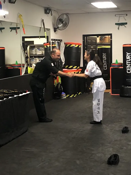 Iron Fist Martial Arts Picture 2