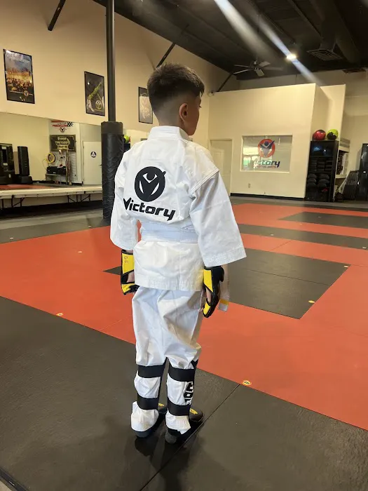 Victory Martial Arts Picture 6