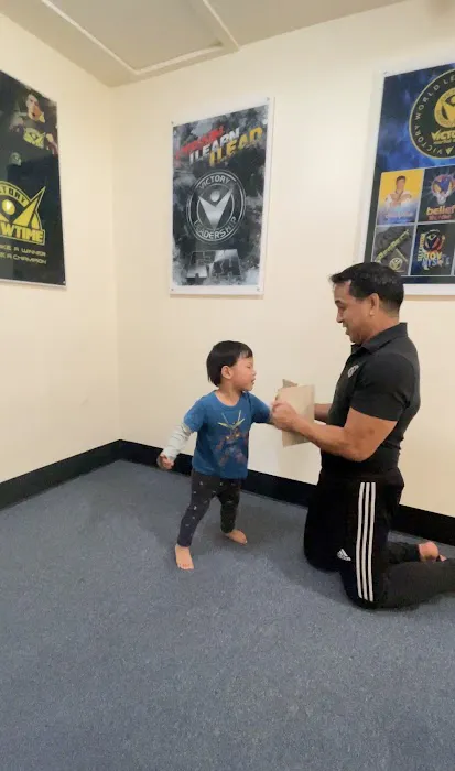 Victory Martial Arts Picture 8