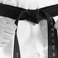 Shin's Family Martial Arts Center ico