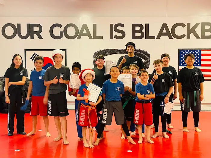 Shin's Family Martial Arts Center Picture 2