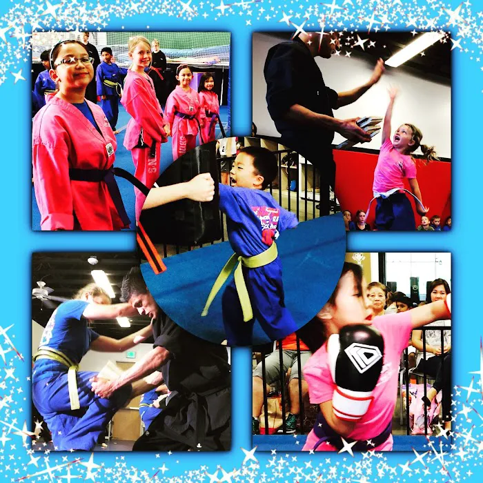 Shin's Family Martial Arts Center Picture 4