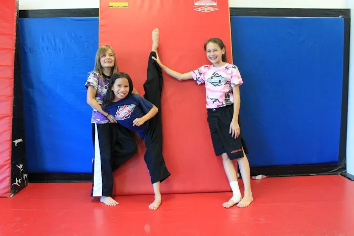 Shin's Family Martial Arts Center Picture 8