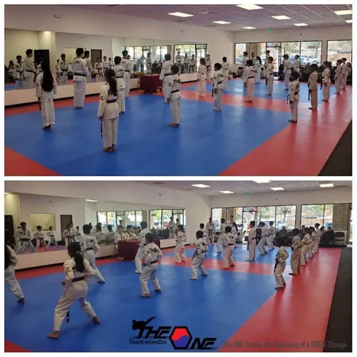 The ONE TaeKwonDo Picture 3