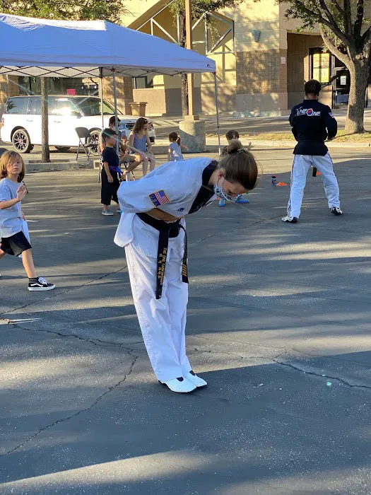 The ONE TaeKwonDo Picture 7