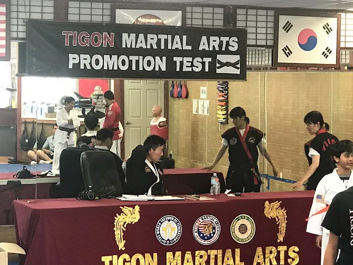 Tigon Martial Arts Inc Picture 1