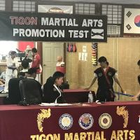 Tigon Martial Arts Inc ico