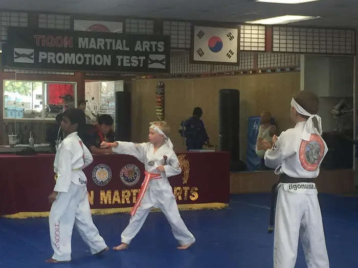Tigon Martial Arts Inc Picture 3
