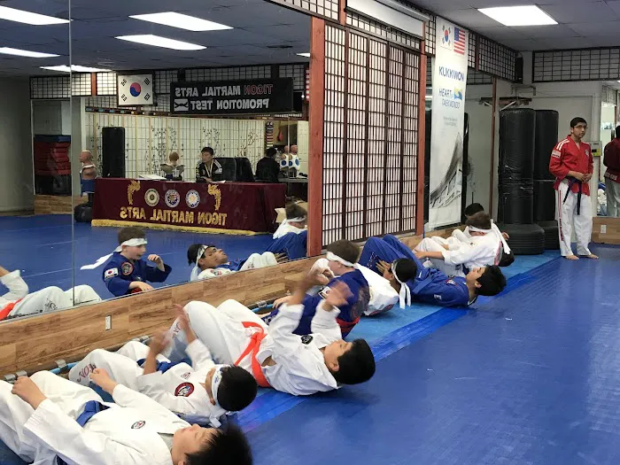 Tigon Martial Arts Inc Picture 9